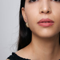 C SHELL Earrings
