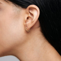 SALAMI HOOP Earrings