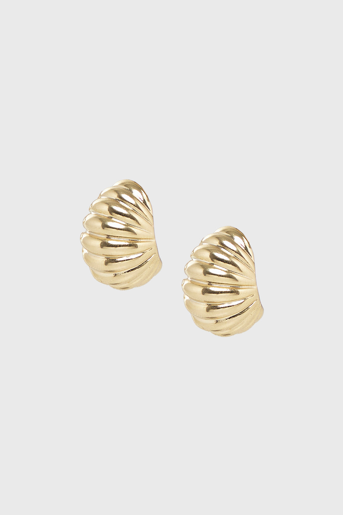 C SHELL Earrings