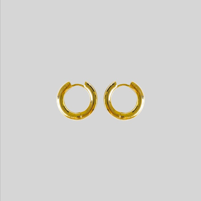 HALO Earrings