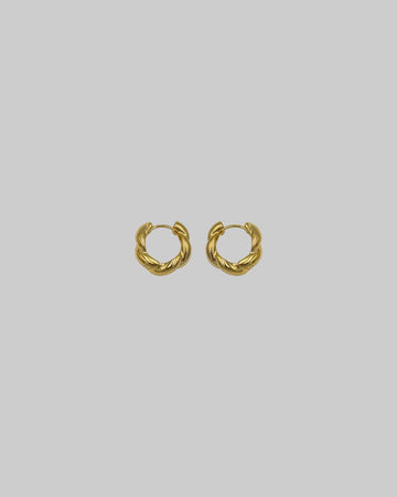 LENS Earrings