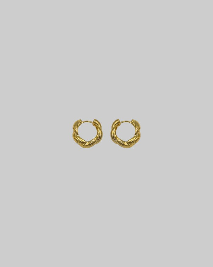 LENS Earrings